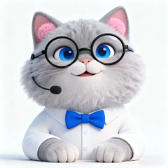 Full-Service OEM:ODM